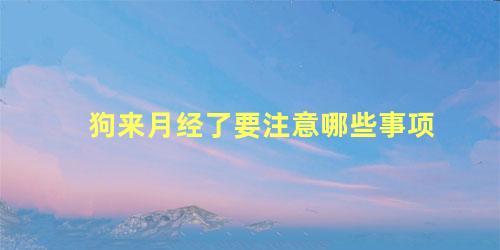 狗来月经了要注意哪些事项