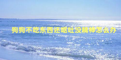 狗狗不吃东西还呕吐没精神怎么办