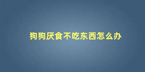 狗狗厌食不吃东西怎么办