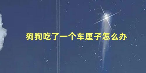 狗狗吃了一个车厘子怎么办