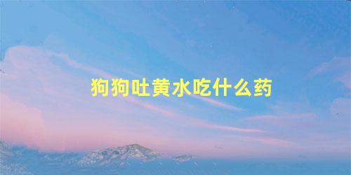 狗狗吐黄水吃什么药