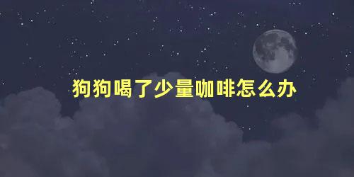 狗狗喝了少量咖啡怎么办