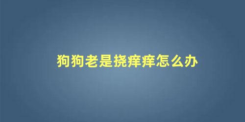狗狗老是挠痒痒怎么办