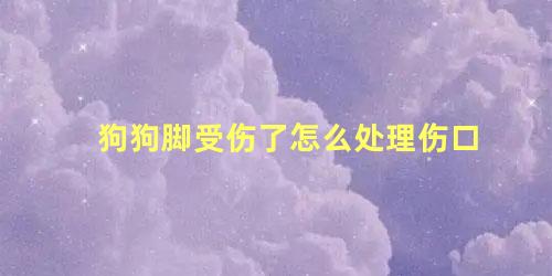 狗狗脚受伤了怎么处理伤口