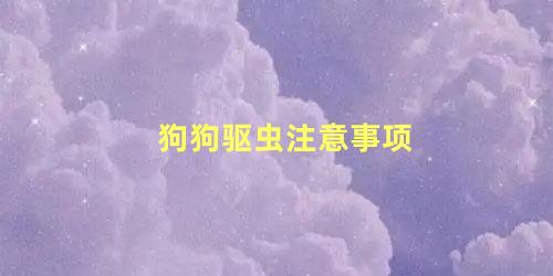 狗狗驱虫注意事项