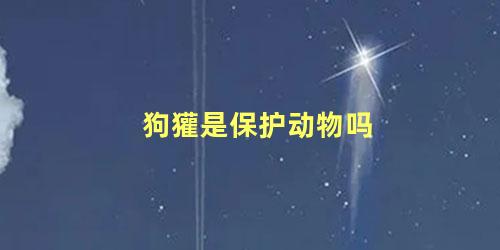 狗獾是保护动物吗