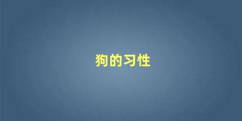狗的习性