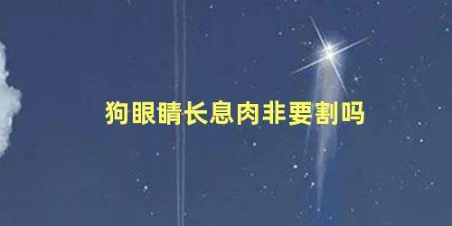 狗眼睛长息肉非要割吗