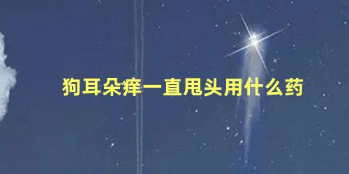 狗耳朵痒一直甩头用什么药