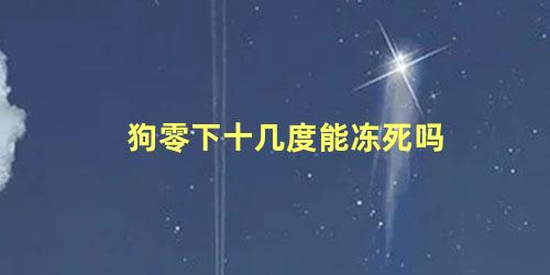 狗零下十几度能冻死吗
