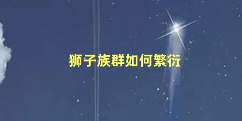 狮子族群如何繁衍