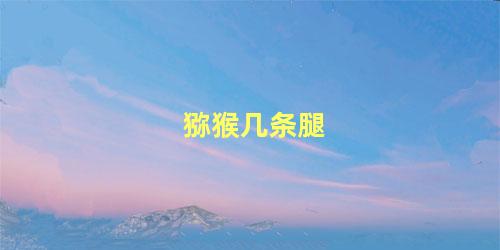 猕猴几条腿