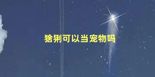 猞猁可以当宠物吗