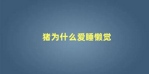 猪为什么爱睡懒觉