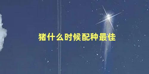 猪什么时候配种最佳
