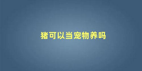 猪可以当宠物养吗