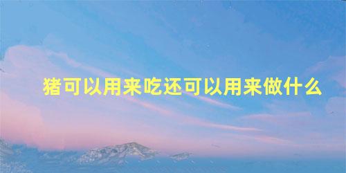 猪可以用来吃还可以用来做什么