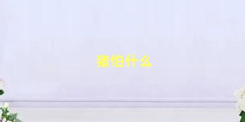 猪怕什么