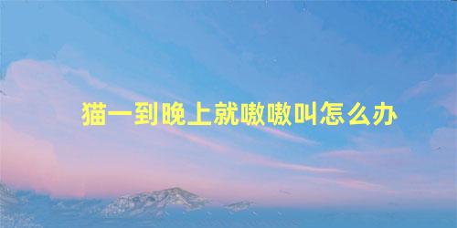 猫一到晚上就嗷嗷叫怎么办