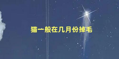 猫一般在几月份掉毛