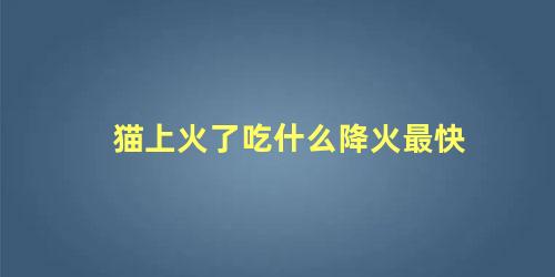 猫上火了吃什么降火最快