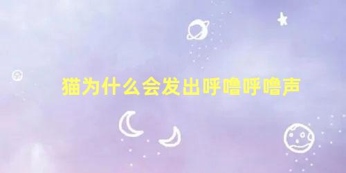 猫为什么会发出呼噜呼噜声