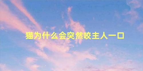 猫为什么会突然咬主人一口