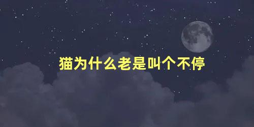 猫为什么老是叫个不停