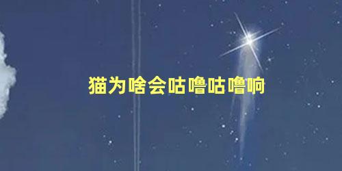 猫为啥会咕噜咕噜响