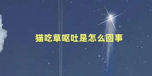 猫吃草呕吐是怎么回事