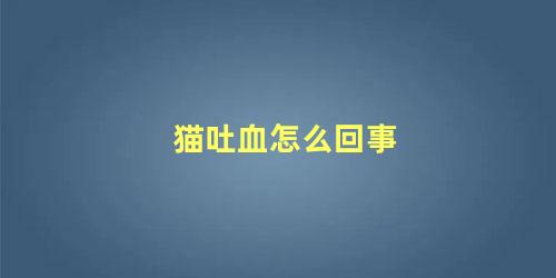 猫吐血怎么回事