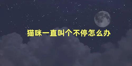 猫咪一直叫个不停怎么办