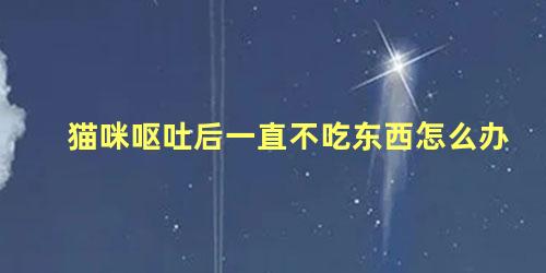 猫咪呕吐后一直不吃东西怎么办