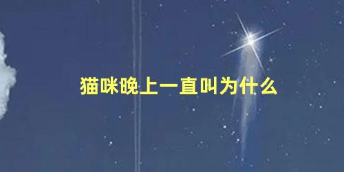 猫咪晚上一直叫为什么