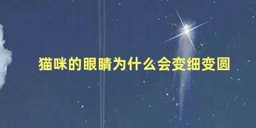 猫咪的眼睛为什么会变细变圆