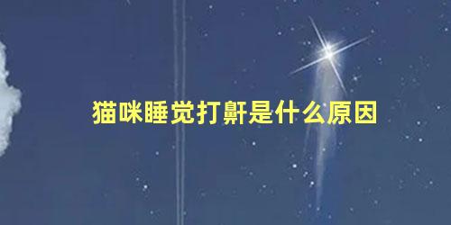 猫咪睡觉打鼾是什么原因