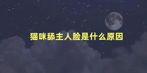 猫咪舔主人脸是什么原因