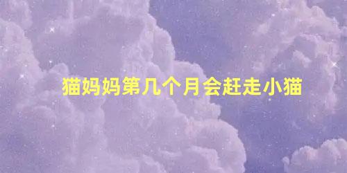 猫妈妈第几个月会赶走小猫