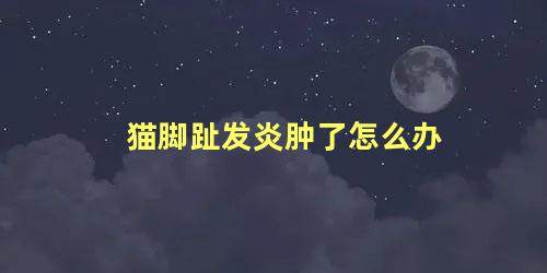 猫脚趾发炎肿了怎么办