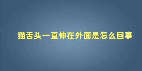 猫舌头一直伸在外面是怎么回事