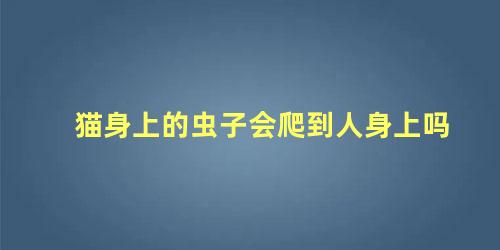猫身上的虫子会爬到人身上吗