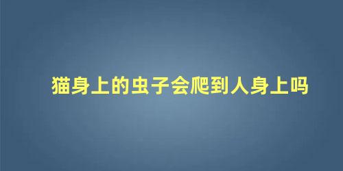 猫身上的虫子会爬到人身上吗