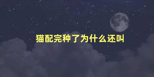 猫配完种了为什么还叫