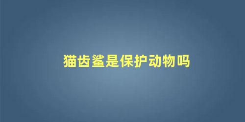 猫齿鲨是保护动物吗