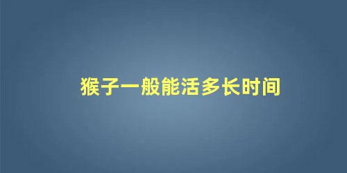 猴子一般能活多长时间