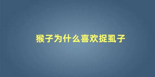 猴子为什么喜欢捉虱子