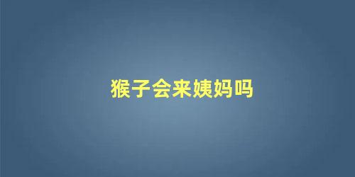 猴子会来姨妈吗