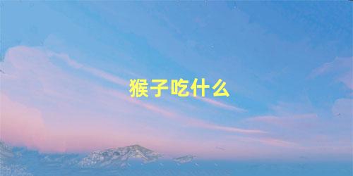猴子吃什么
