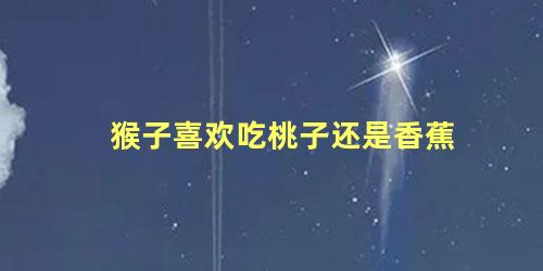 猴子喜欢吃桃子还是香蕉