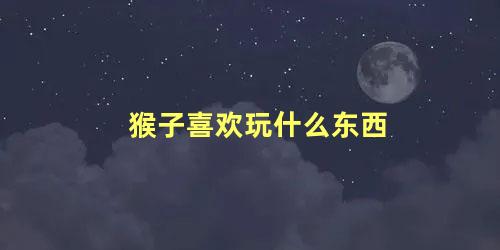 猴子喜欢玩什么东西